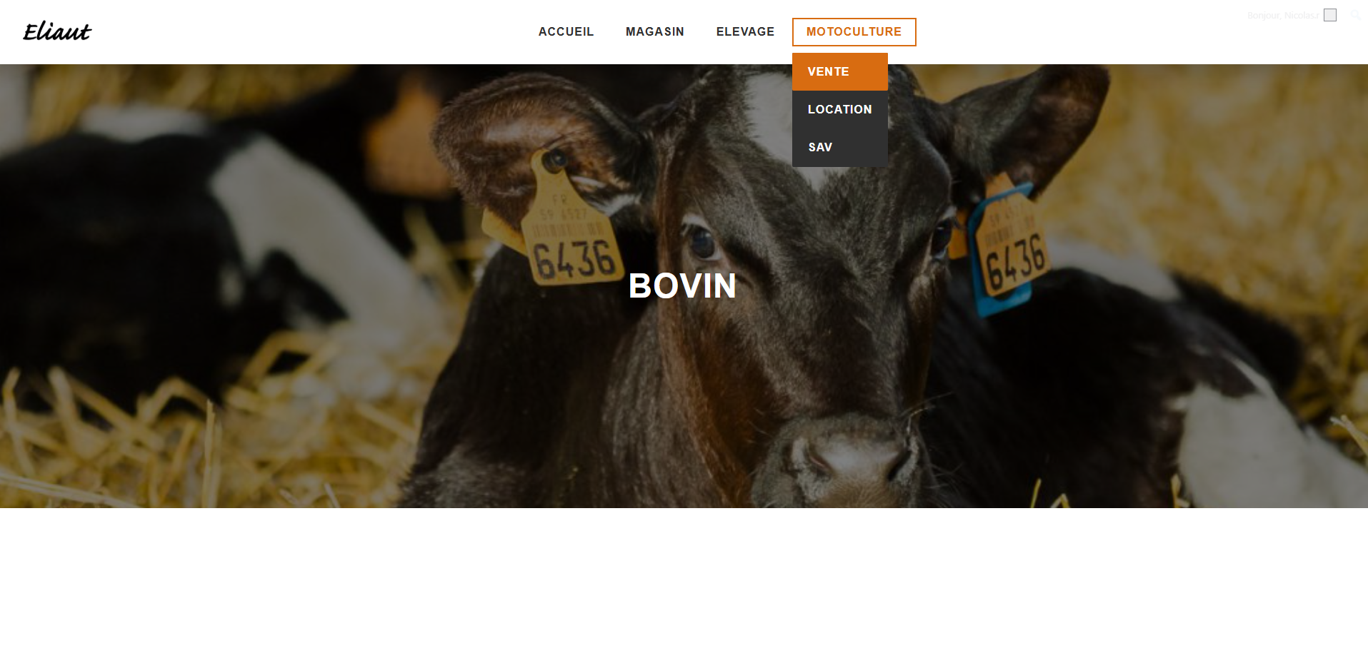 Page Bovin du Site Eliaut Elevage