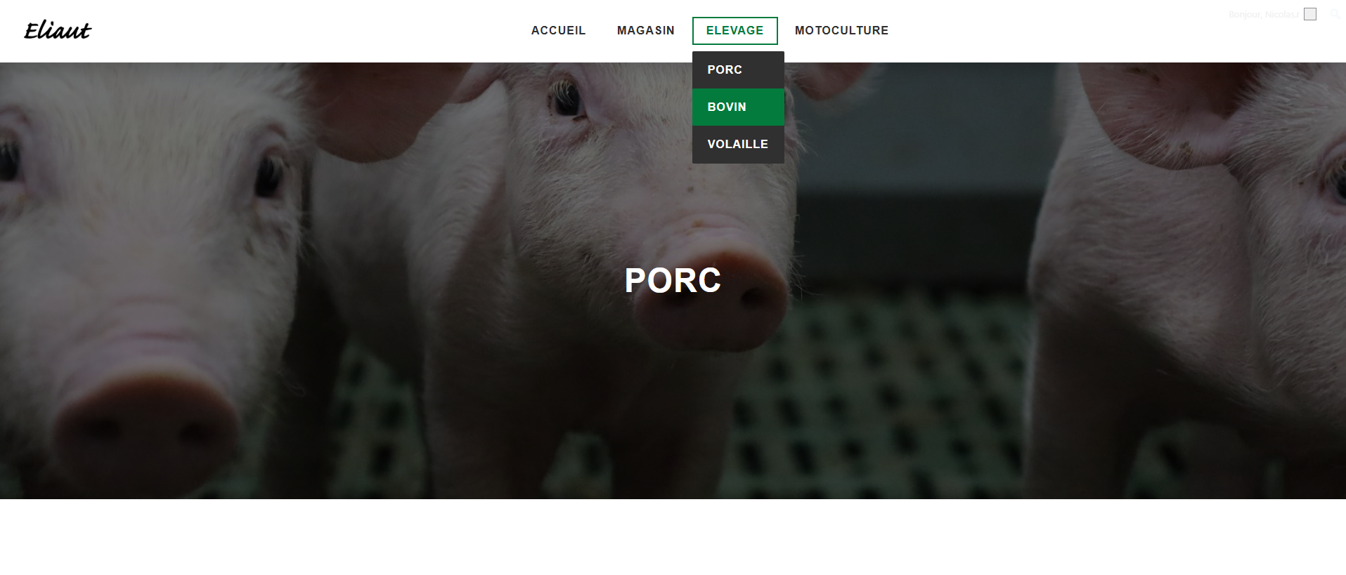 Page Porc du Site Eliaut Elevage