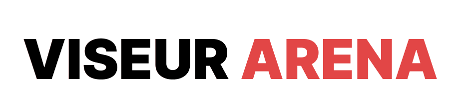 Projet Viseur Arena